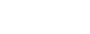 Ring Five Impact Partner